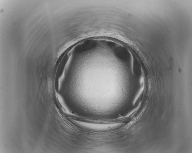 X0000059101505200510211619