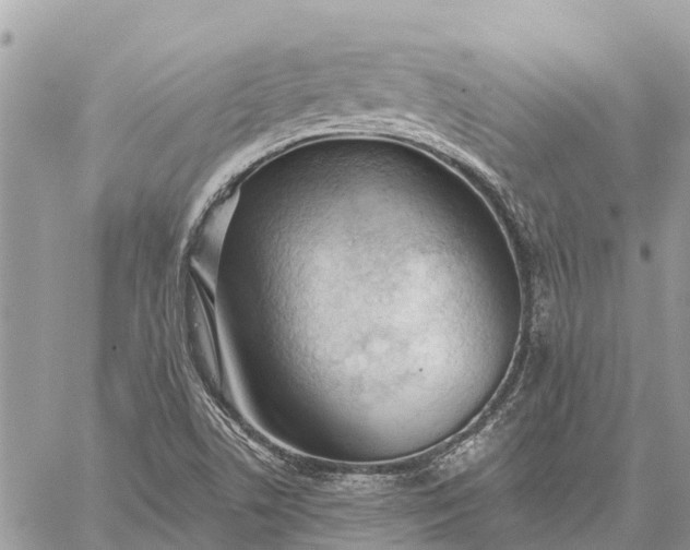 X0000059101506200510211619