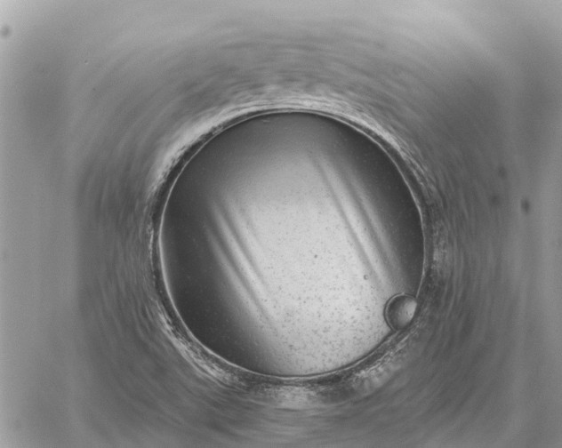 X0000059101507200510211619