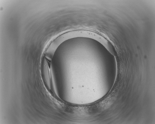 X0000059101508200510211619