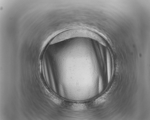 X0000059101509200510211619