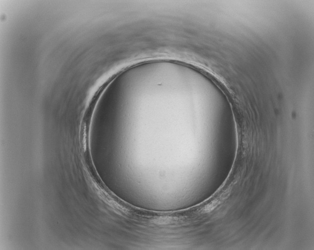 X0000059101510200510211619