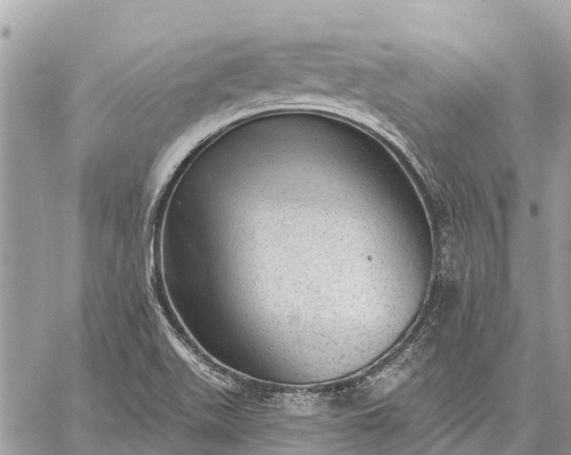 X0000059101511200510211619