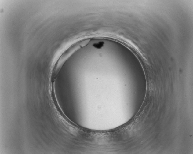 X0000059101512200510211619