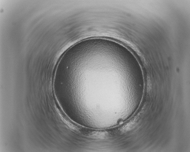 X0000059101513200510211619