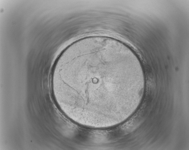 X0000059101514200510211619