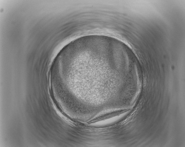 X0000059101515200510211619