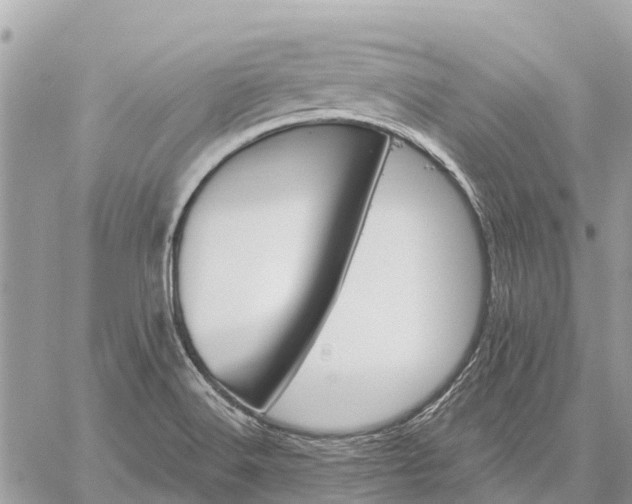 X0000059101516200510211619