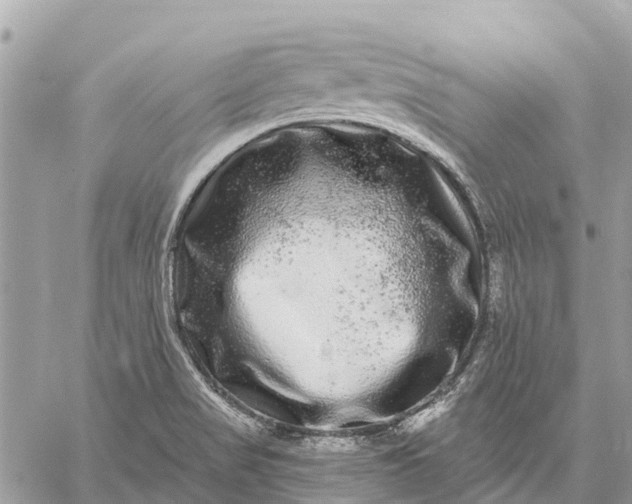 X0000059101517200510211619