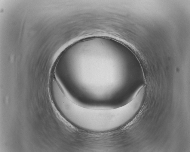 X0000059101518200510211619