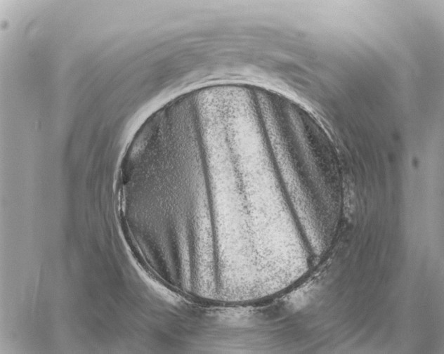 X0000059101519200510211619