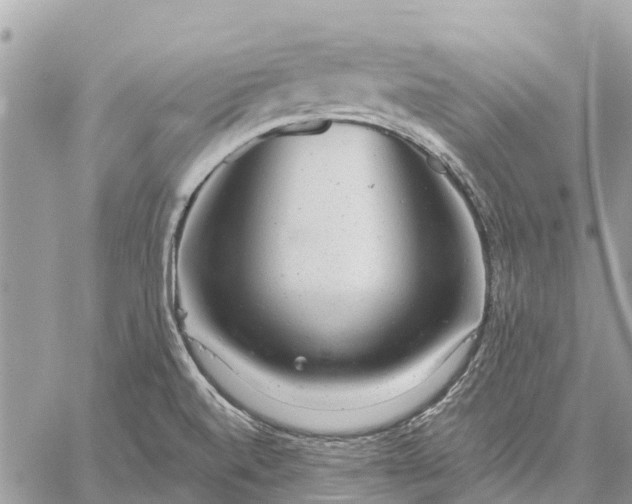 X0000059101520200510211619