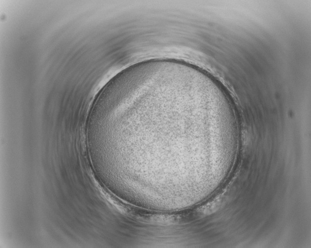 X0000059101521200510211619