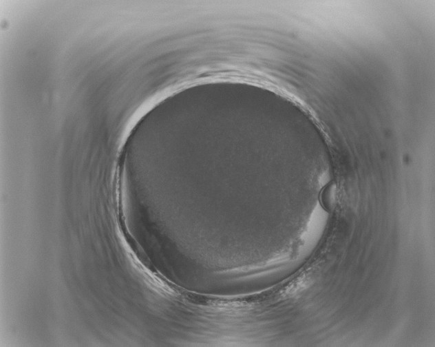 X0000059101522200510211619