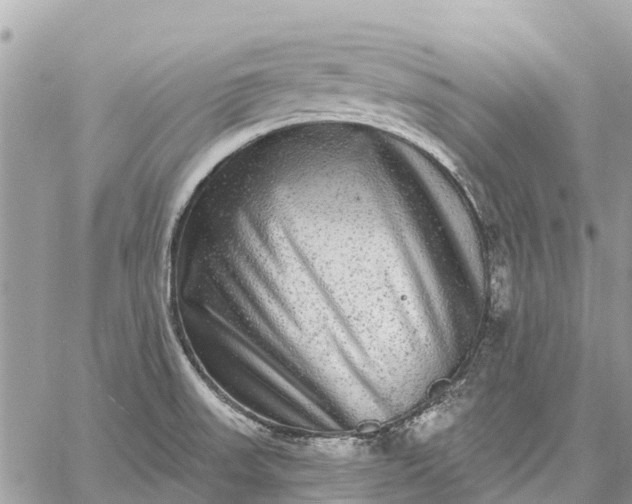 X0000059101523200510211619