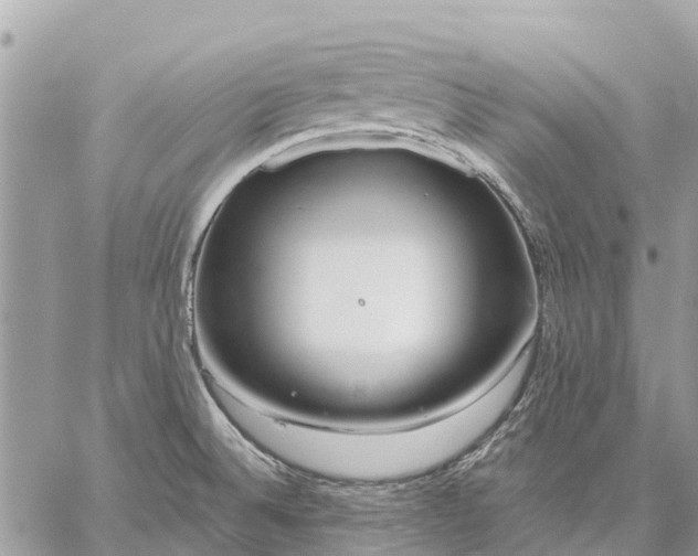 X0000059101524200510211619