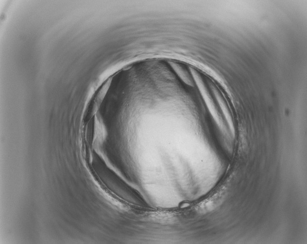 X0000059101525200510211619