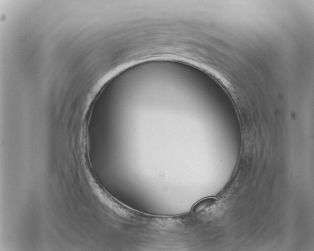 X0000059101526200510211619