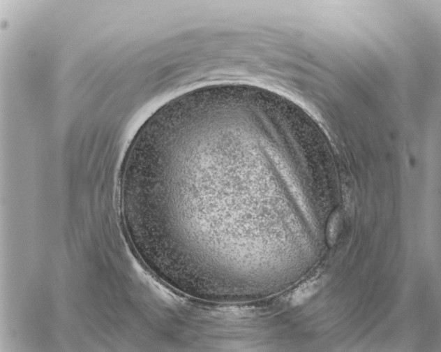 X0000059101527200510211619