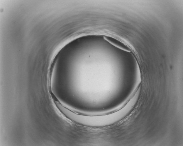 X0000059101528200510211619