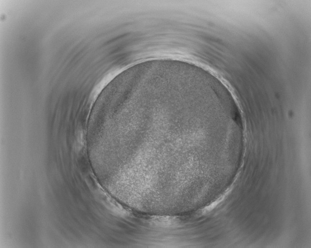 X0000059101529200510211619