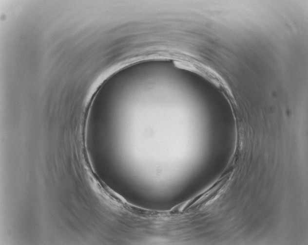 X0000059101530200510211620