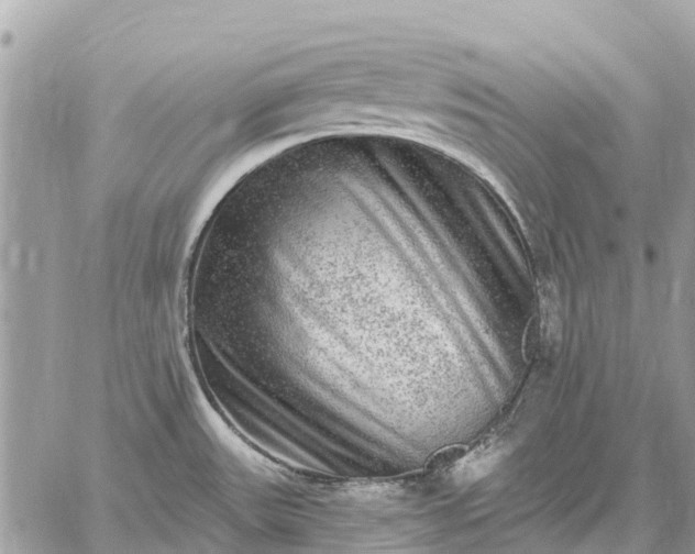 X0000059101531200510211620