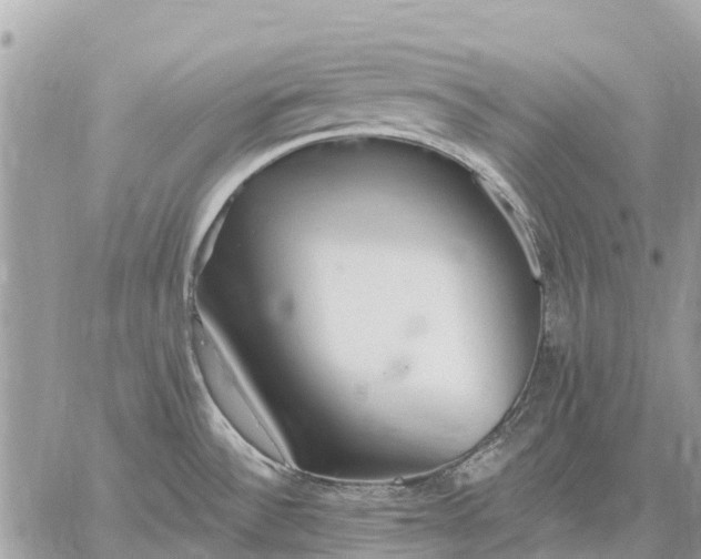 X0000059101532200510211620