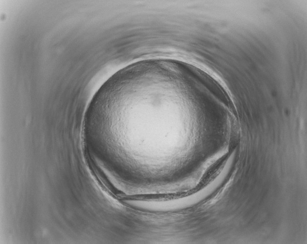 X0000059101533200510211620