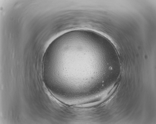 X0000059101534200510211620