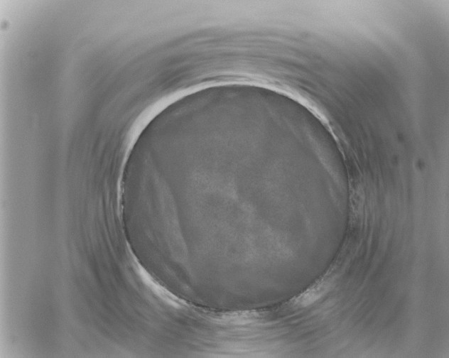 X0000059101535200510211620