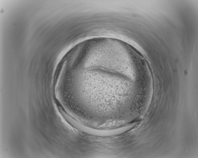 X0000059101536200510211620