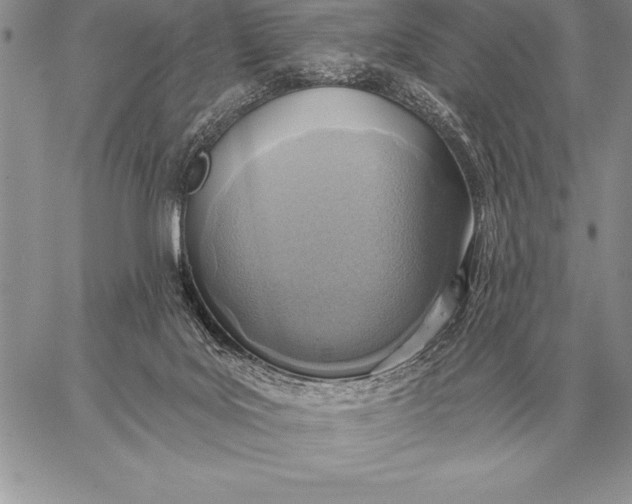 X0000059100027200510281825