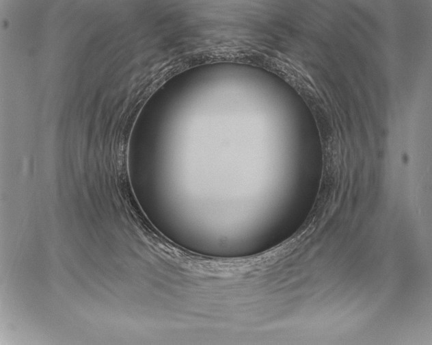 X0000059100033200510281825