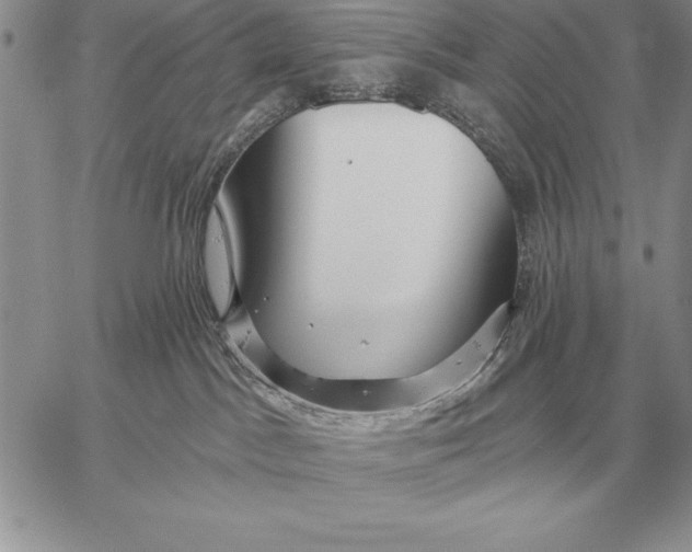 X0000059100045200510281825