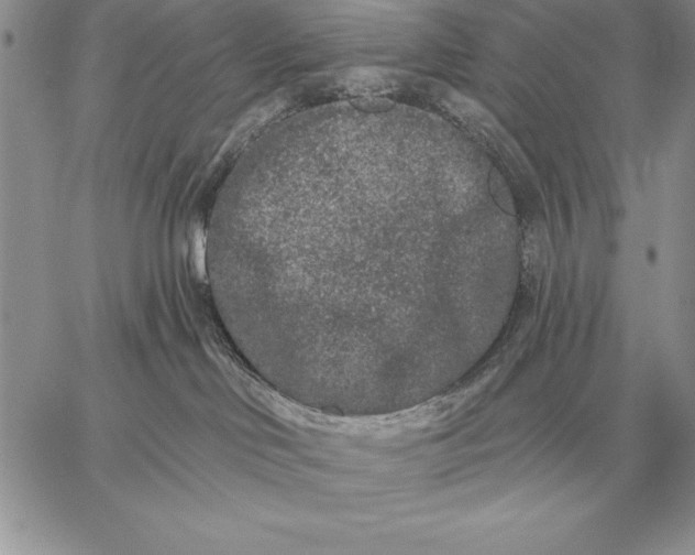 X0000059100046200510281825