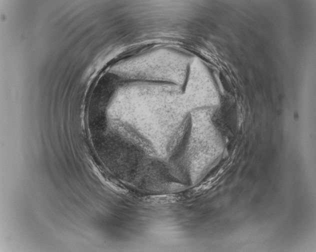 X0000059100050200510281824