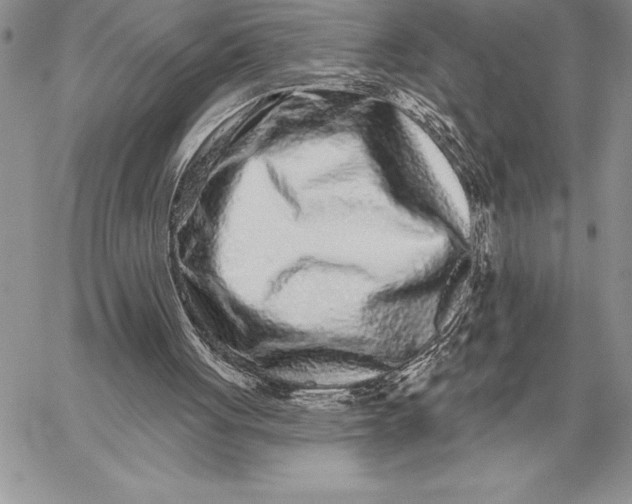 X0000059100051200510281824
