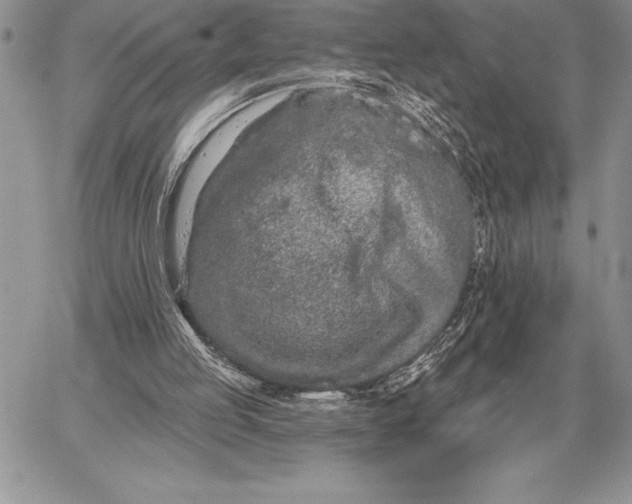 X0000059100053200510281824