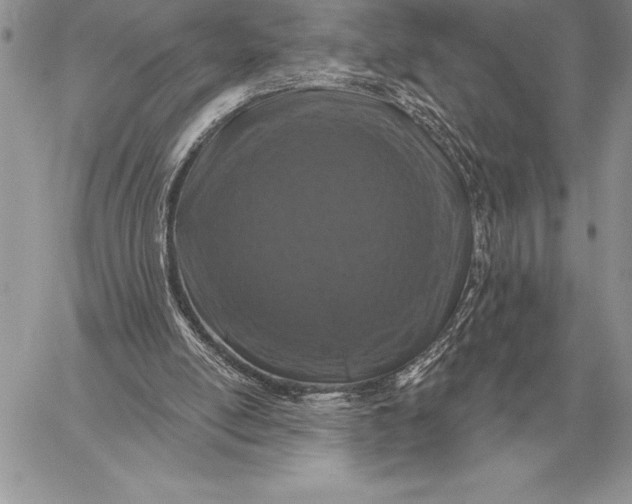 X0000059100054200510281824