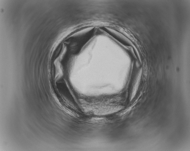 X0000059100055200510281824
