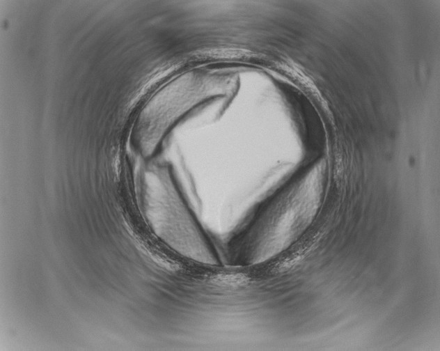 X0000059100063200510281825