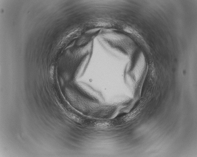 X0000059100066200510281825