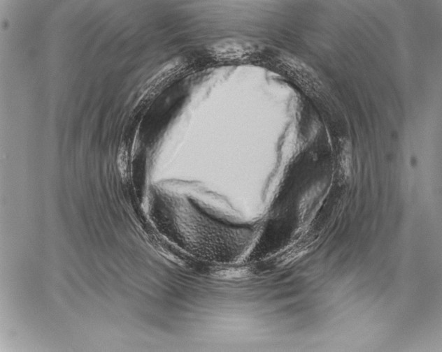 X0000059100081200510281825