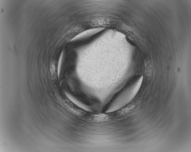 X0000059100087200510281825