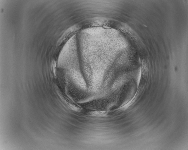 X0000059100094200510281825