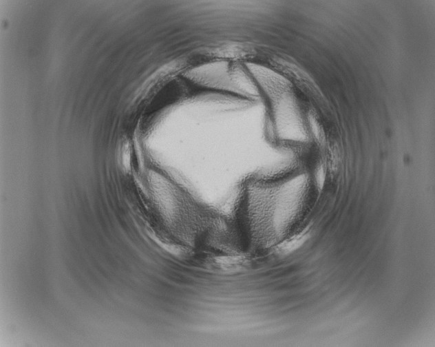 X0000059100095200510281825