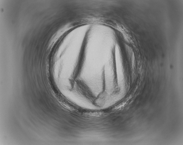 X0000059100103200510281824
