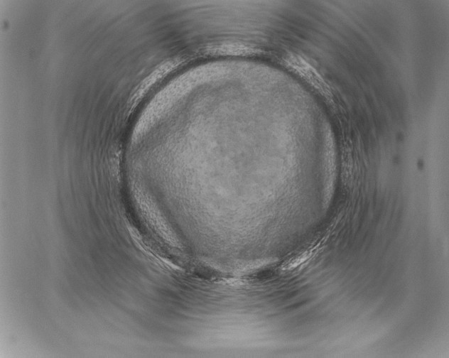 X0000059100111200510281824