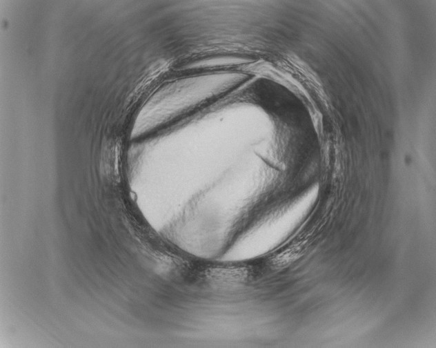 X0000059100115200510281824